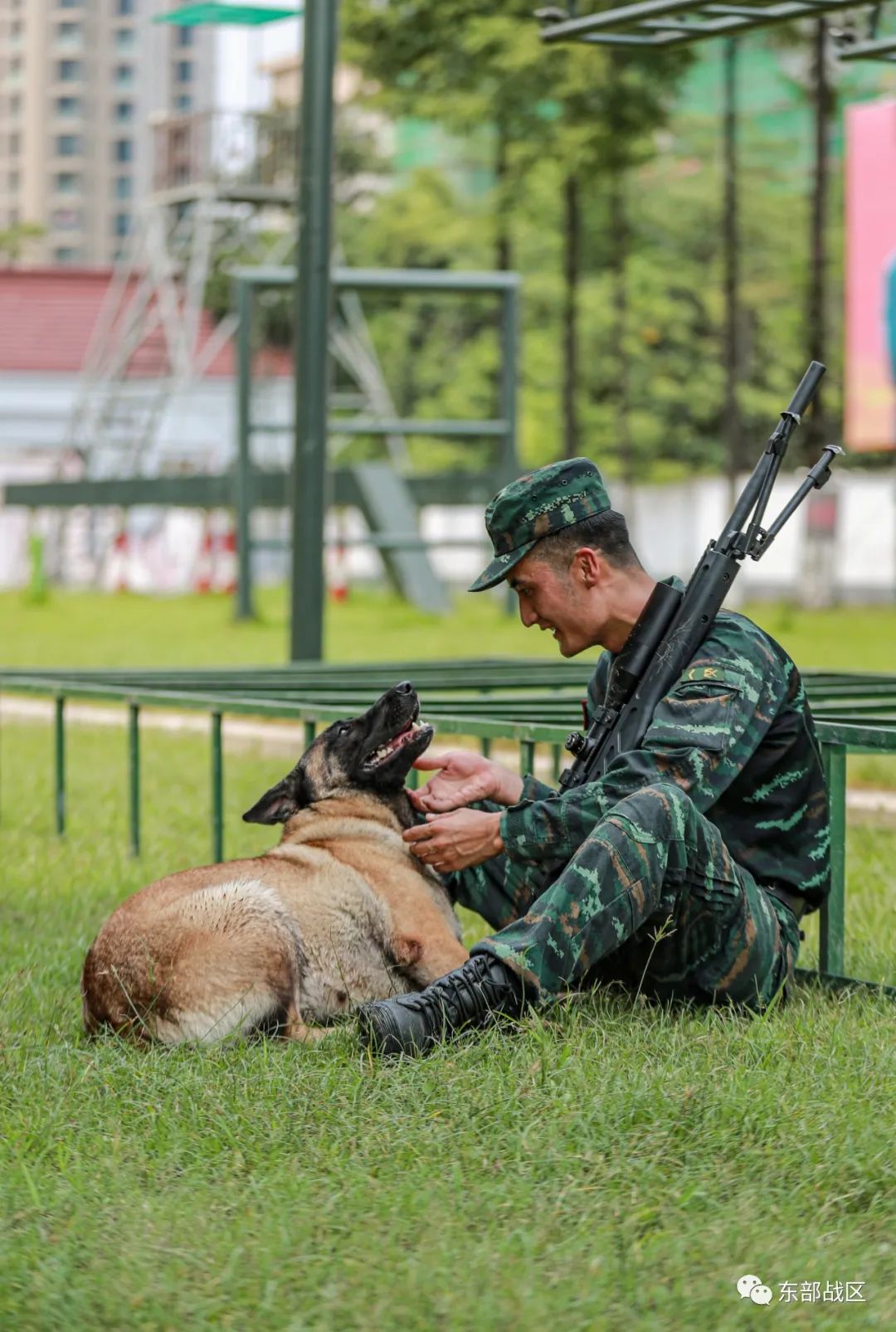 武警浙江總隊杭州支隊即將退伍的老兵向熟悉的鋼槍,軍犬等