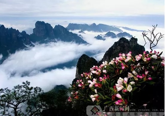 文件名