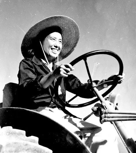 上个世纪50年代,金茂芳驾驶着拖拉机在田野耕作,这张照片被兵团军垦